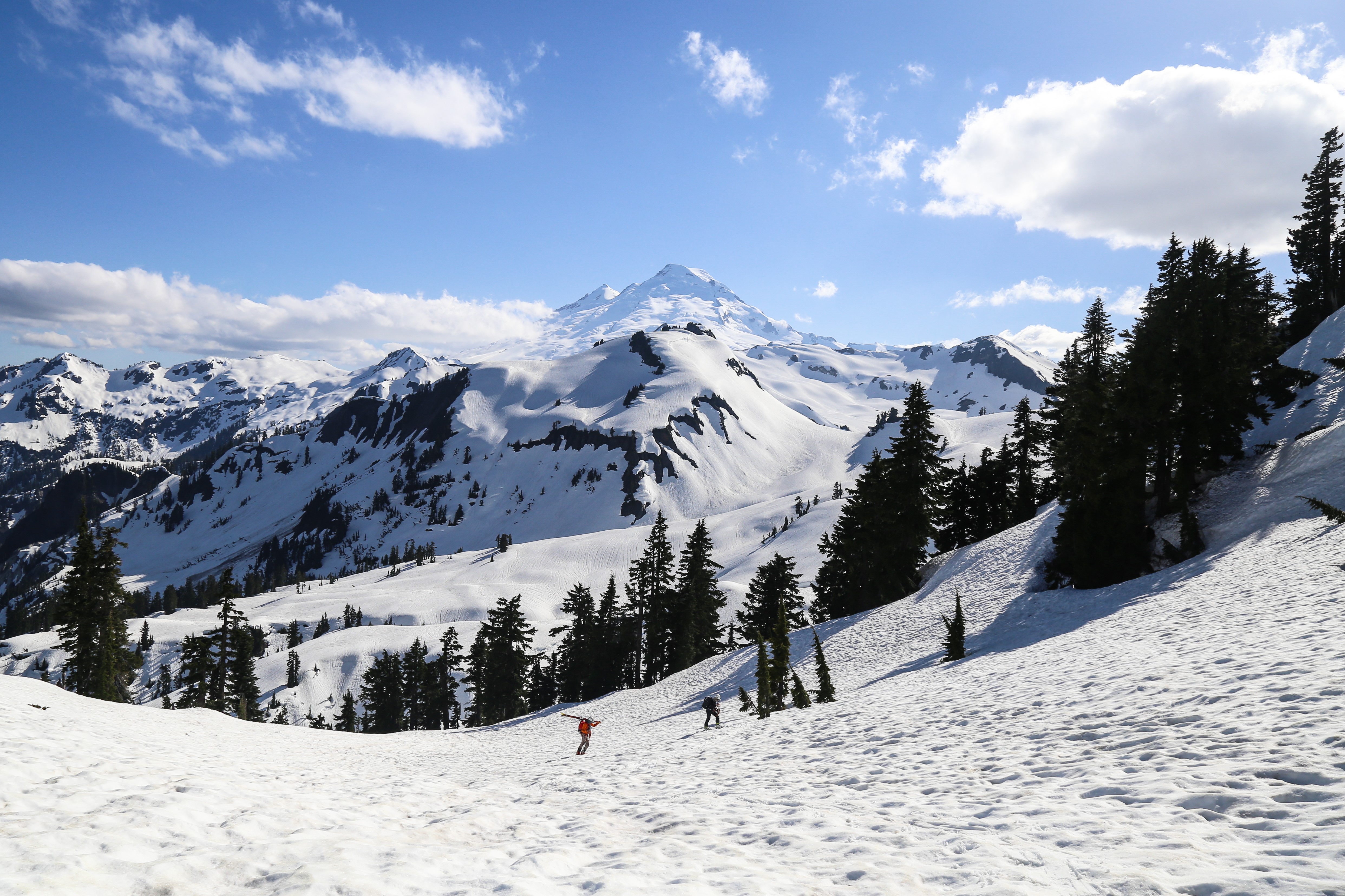 A snowy mountain landscape with a distant peak, evergreen trees, and two people hiking up a slope under a blue sky.